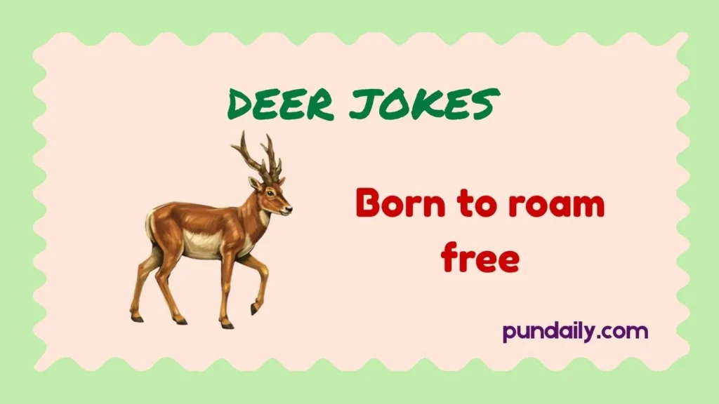 deer jokes