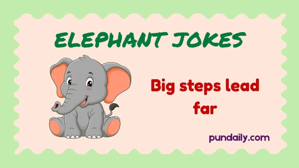 elephant jokes