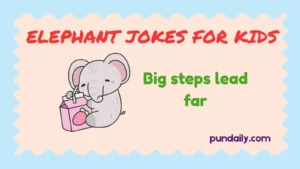 elephant jokes for kids