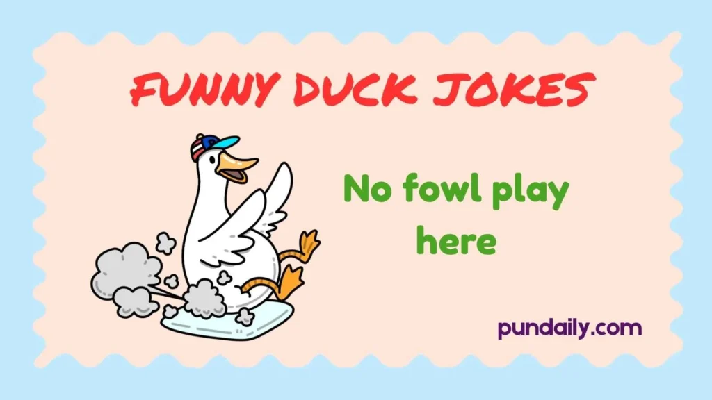 funny duck jokes