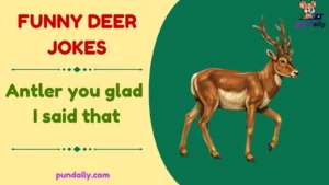 funny deer jokes